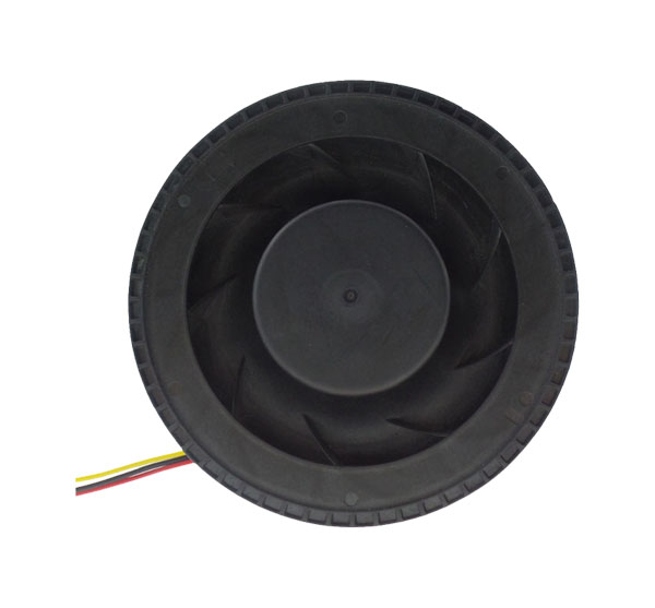 91视频色版下载 FD1025